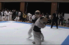 bougu (135)_samu.gif